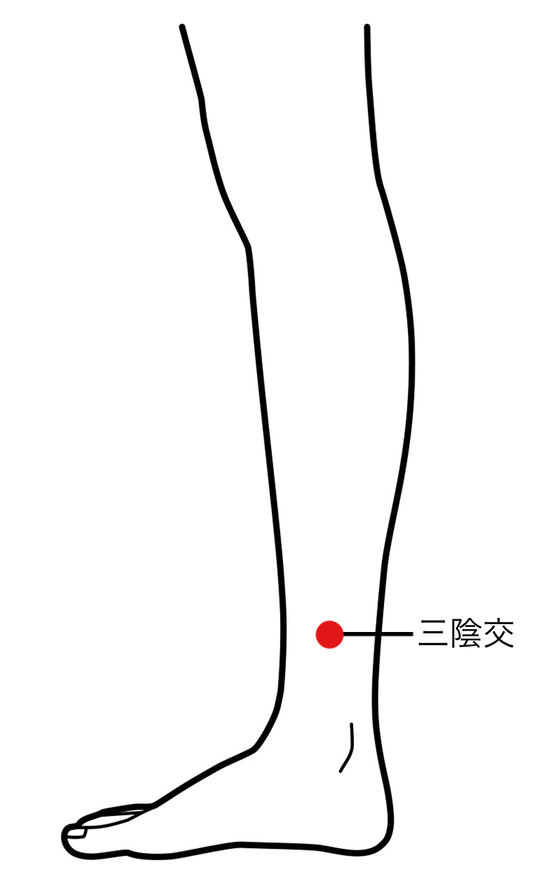 ツボ：三陰交